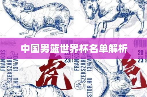 中国男篮世界杯名单解析