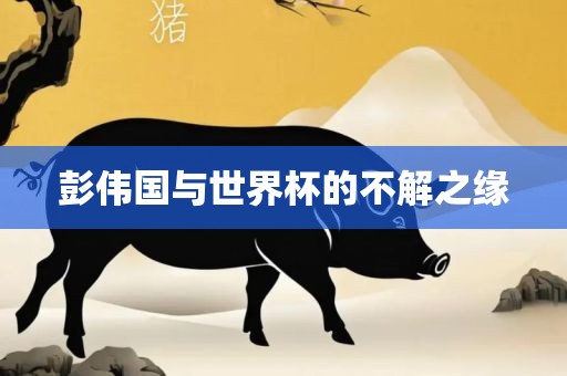 彭伟国与世界杯的不解之缘洪湖市顺升工程机械租赁有限公司