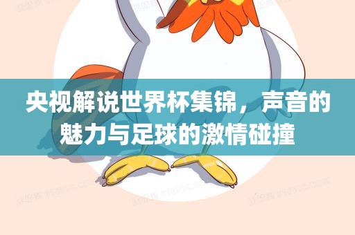 央视解说世界杯集锦，声音的魅力与足球的激情碰撞