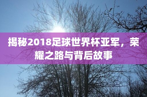 揭秘2018足球世界杯亚军，荣耀之路与背后故事洪湖市顺升工程机械租赁有限公司