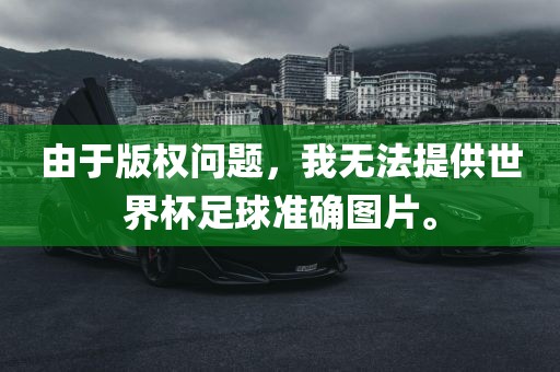 由于版权问题，我无法提供世界杯足球准确图片。