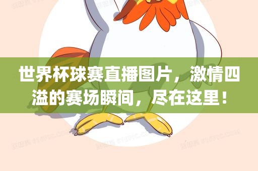 激情四溢的赛场瞬间