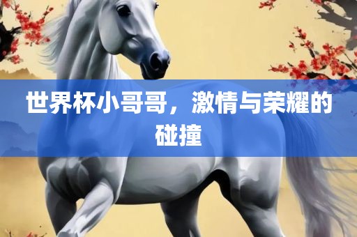 世界杯小哥哥，激情与荣耀的碰撞