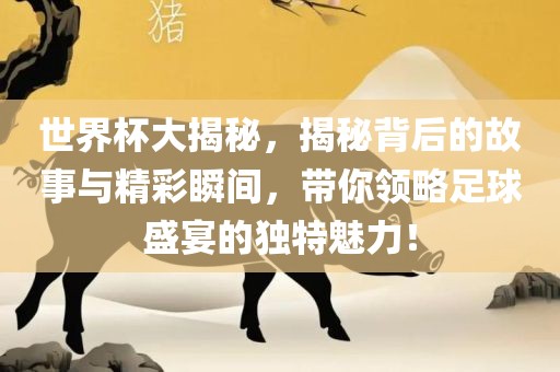 世界杯大揭秘，揭秘背后的故事与精彩瞬间，带你领略足球盛宴的独特魅力！洪湖市顺升工程机械租赁有限公司