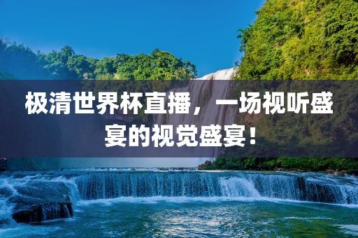 极清世界杯直播，一场视听盛宴的视觉盛宴！