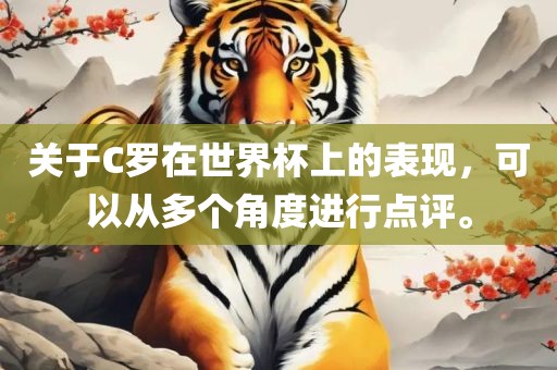 关于C罗在世界杯上的表现，可以从多个角度进行点评。