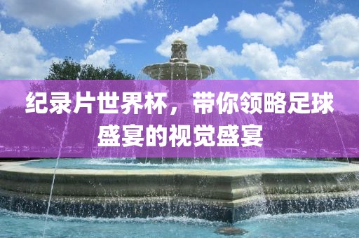 纪录片世界杯，带你领略足球盛宴的视觉盛宴