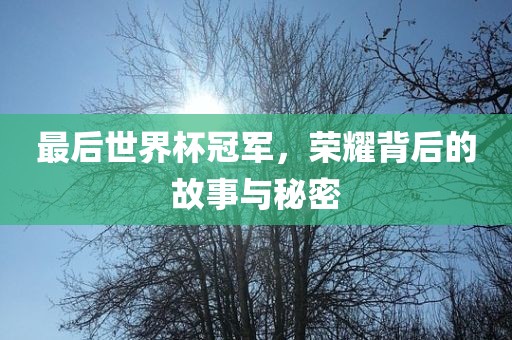 最后世界杯冠军，荣耀背后洪湖市顺升工程机械租赁有限公司的故事与秘密