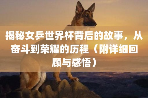 揭秘女乒世界杯背后的故事，从奋斗到荣耀的历程（附详细回顾与感悟）