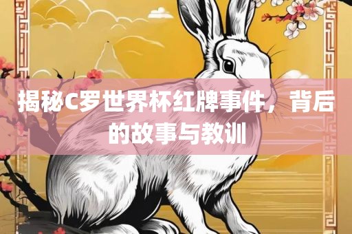 揭秘C罗世界杯红牌事件，背后的故事与教训洪湖市顺升工程机械租赁有限公司