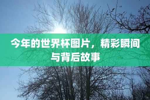 今年的世界杯图片，精彩瞬间与背后故事