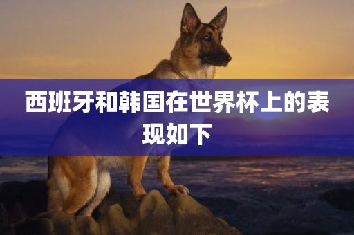 西班牙和韩国在世界杯上的表现如下洪湖市顺升工程机械租赁有限公司