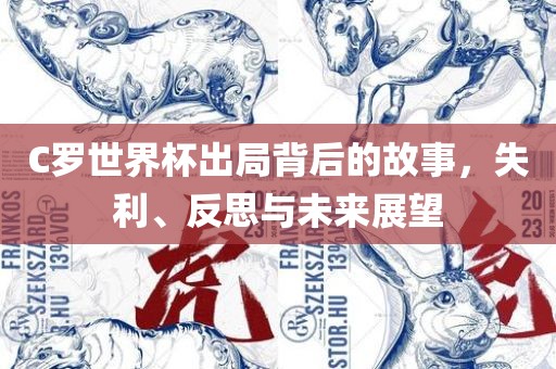 C罗世界洪湖市顺升工程机械租赁有限公司杯出局背后的故事，失利、反思与未来展望