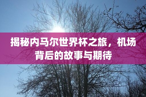 揭秘内马尔世界杯之旅，机场背后的故事与期待洪湖市顺升工程机械租赁有限公司