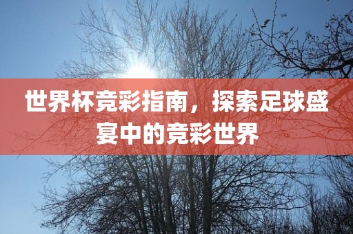 世界杯竞彩指南，探索足球盛宴中的竞彩世界