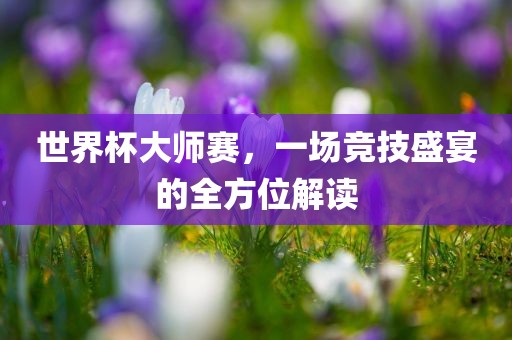 世界杯大师赛，一场竞技盛宴的全方位解读