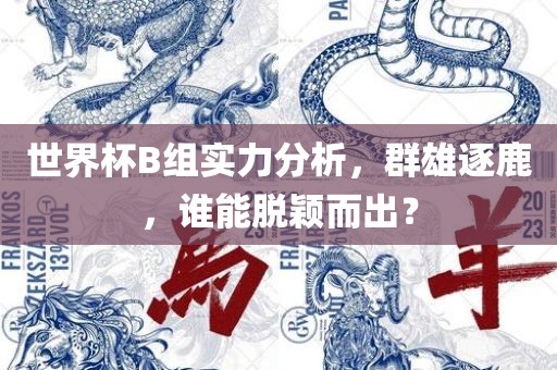 世界杯B组实力分析，群雄逐鹿，谁能脱颖而出？