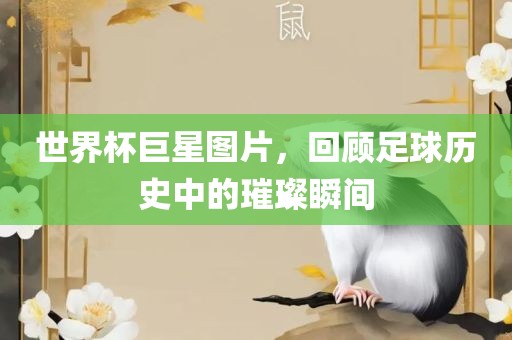 世界杯巨星图片，回顾足球历史中的璀璨瞬间