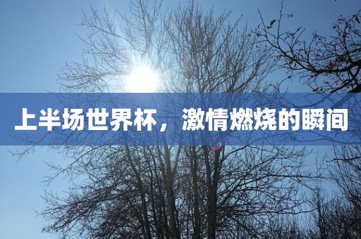 上半场世界杯，激情燃烧的瞬间