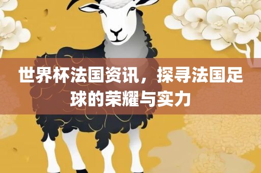 世界杯法国资讯，探寻法国足球的荣耀与实力洪湖市顺升工程机械租赁有限公司