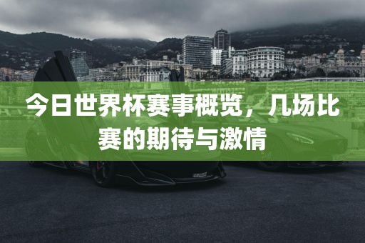 今日世界杯赛事概览，几场比赛的期待与激情