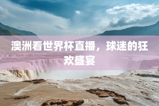 澳洲看世界杯直播，球迷的狂欢盛宴