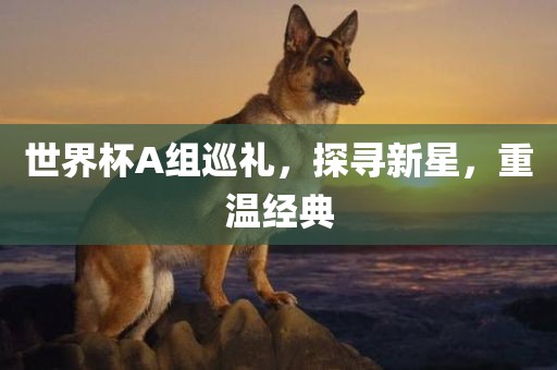 洪湖市顺升工程机械租赁有限公司世界杯A组巡礼，探寻新星，重温经典