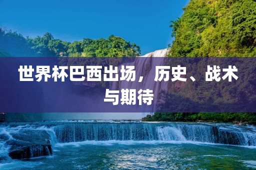 世界杯巴西出场，历史、战术与期待
