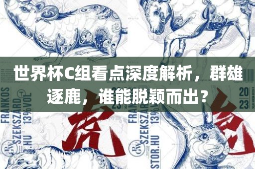 世界杯C组看点深度解析，群雄逐鹿，谁能脱颖而出？