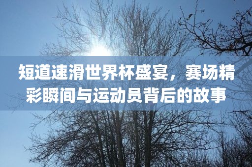 短道速滑世界杯盛宴，赛场精彩瞬间与运动员背后的故事