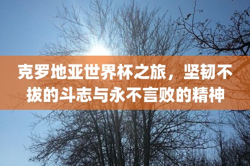 克罗地亚世界杯之旅，坚韧不拔的斗志与永不言败的精神