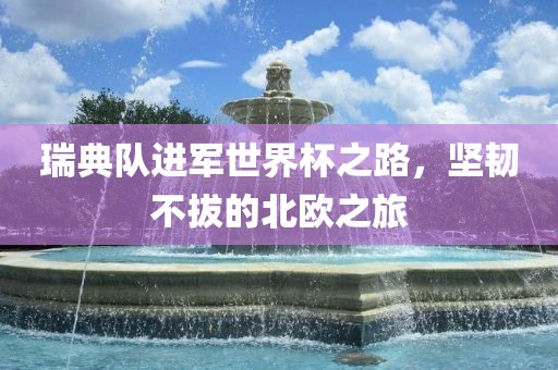 瑞典队进军世界杯之路洪湖市顺升工程机械租赁有限公司，坚韧不拔的北欧之旅