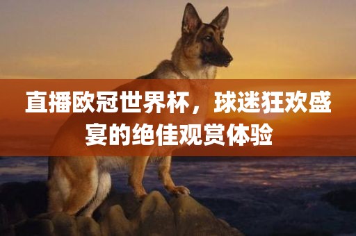 直播欧冠世界杯，球迷狂欢洪湖市顺升工程机械租赁有限公司盛宴的绝佳观赏体验