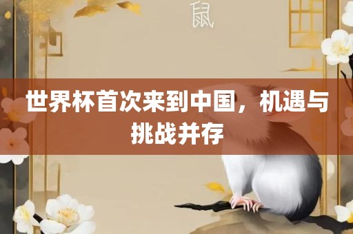 世界杯首次来到中国，机遇与挑战并存洪湖市顺升工程机械租赁有限公司