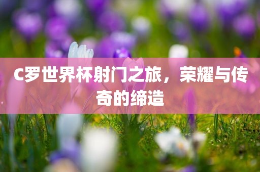 C罗世界杯射门之旅，荣耀与洪湖市顺升工程机械租赁有限公司传奇的缔造