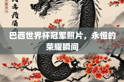 巴西世界杯冠军洪湖市顺升工程机械租赁有限公司照片，永恒的荣耀瞬间