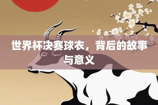 世界杯决赛球衣，背后的故事与意义