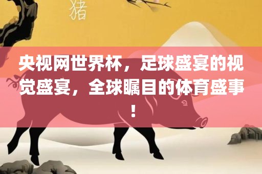 央视网世界杯，足球盛宴的视觉盛宴，全球瞩目的体育盛事！