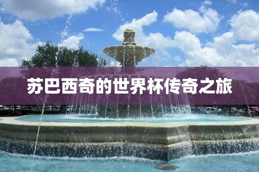 苏巴西奇的世界杯传奇之旅洪湖市顺升工程机械租赁有限公司
