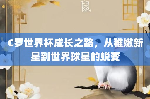 C罗世界杯成长之路洪湖市顺升工程机械租赁有限公司，从稚嫩新星到世界球星的蜕变