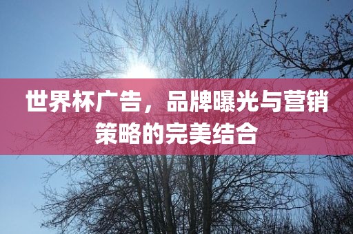 世界杯广告，品牌曝光与营销策略的完美结合