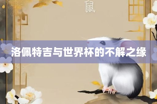 洛佩特吉与世界杯的不解之缘洪湖市顺升工程机械租赁有限公司