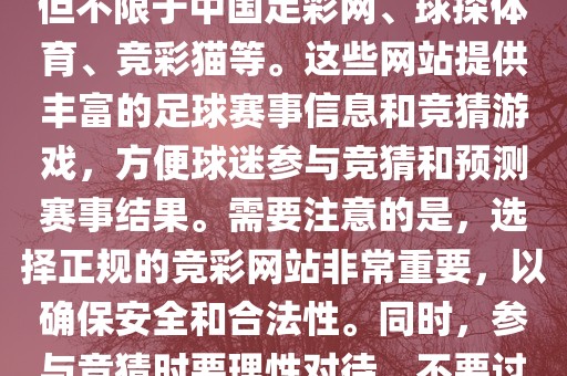 世界杯竞彩网站有很多，包括但不限于中国足彩网、球探体育、竞彩猫等。这些网站提供丰富的足球赛事信息和竞猜游戏，方洪湖市顺升工程机械租赁有限公司便球迷参与竞猜和预测赛事结果。需要注意的是，选择正规的竞彩网站非常重要，以确保安全和合法性。同时，参与竞猜时要理性对待，不要过度沉迷。