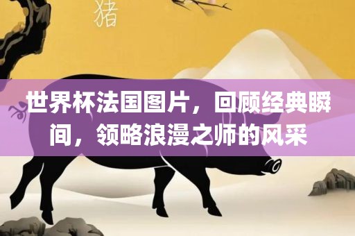 世界杯法国图片，回顾经典瞬间，领略浪漫之师的风采