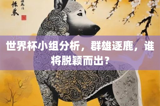 世界杯小组分析，群雄逐鹿，谁将脱颖而出？