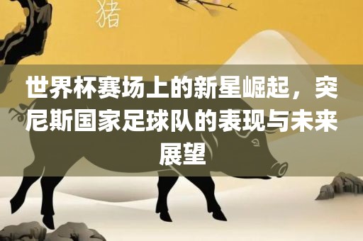 世界杯赛场上的新星崛起，突尼斯国家足球队的表现与未洪湖市顺升工程机械租赁有限公司来展望