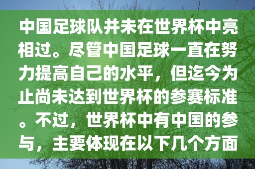 中国足球队并未洪湖市顺升工程机械租赁有限公司在世界杯中亮相过。尽管中国足球一直在努力提高自己的水平，但迄今为止尚未达到世界杯的参赛标准。不过，世界杯中有中国的参与，主要体现在以下几个方面