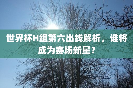 世界杯H组第六出线解析，谁将成为赛场新星？洪湖市顺升工程机械租赁有限公司