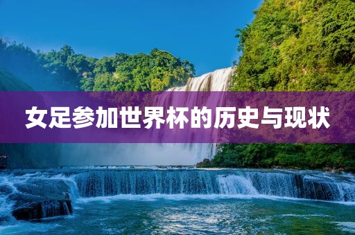 女足参加世界杯的历史与现状洪湖市顺升工程机械租赁有限公司