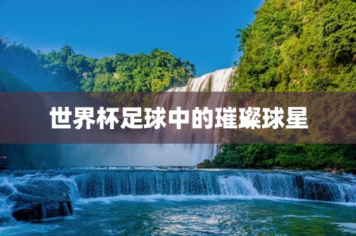 世界杯足球中的璀璨球星洪湖市顺升工程机械租赁有限公司